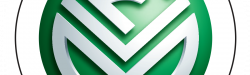 FVM