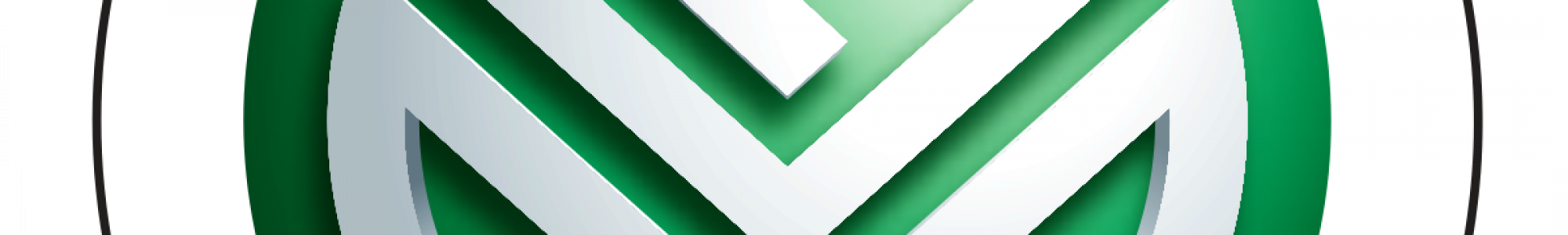 FVM